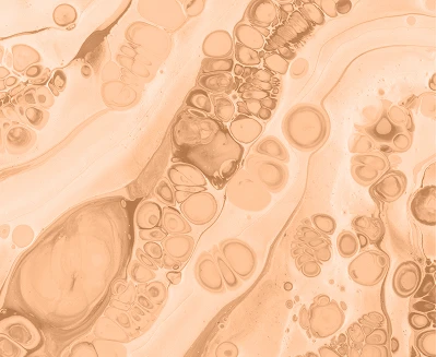 Hemorrhoid Bleeding: Why It Happens and How to Stop It