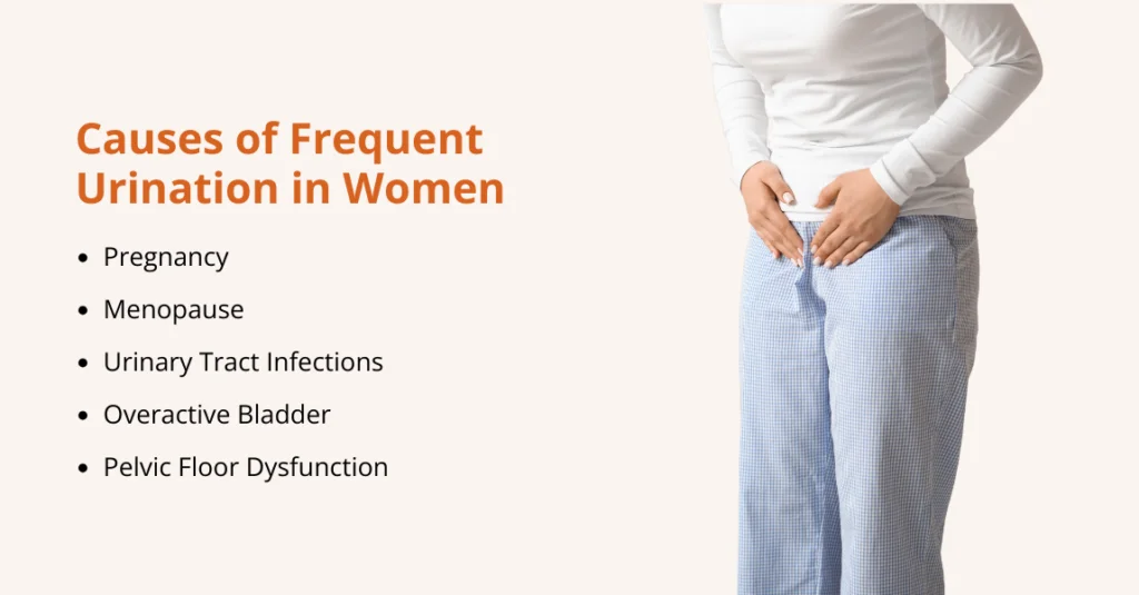 what causes frequent urination in women